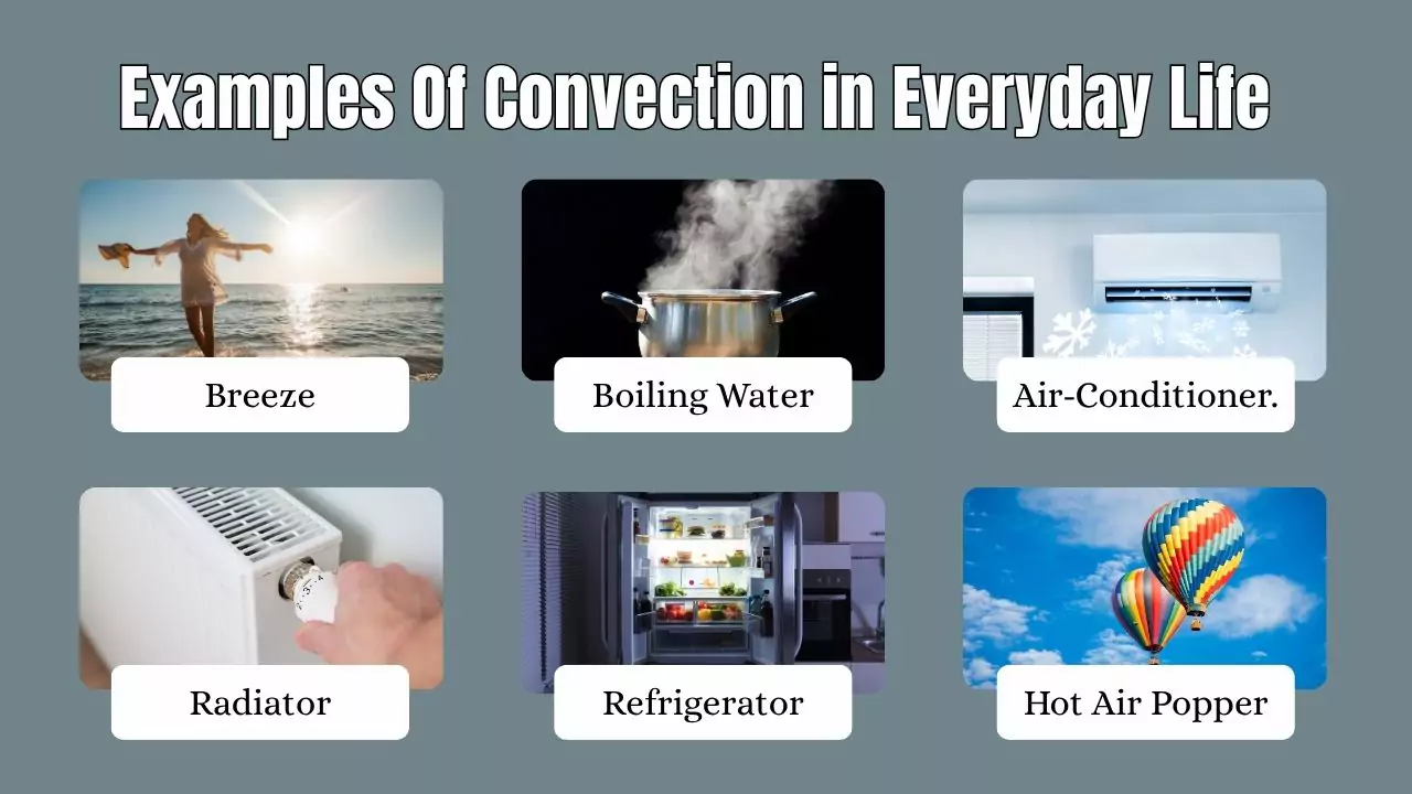 Examples Of Convection