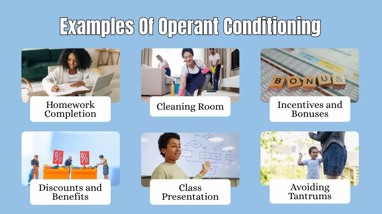 Examples Of Operant Conditioning