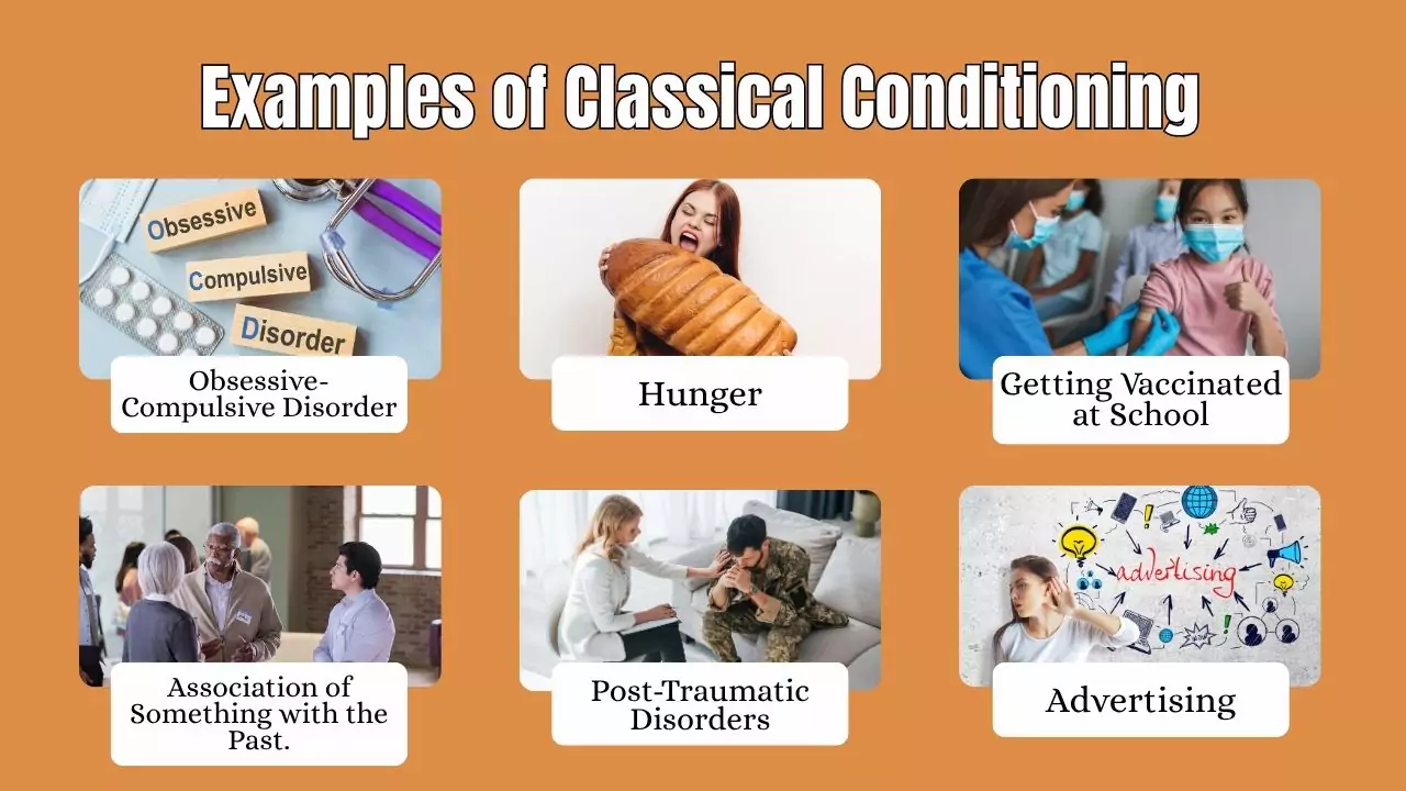 Examples of Classical Conditioning
